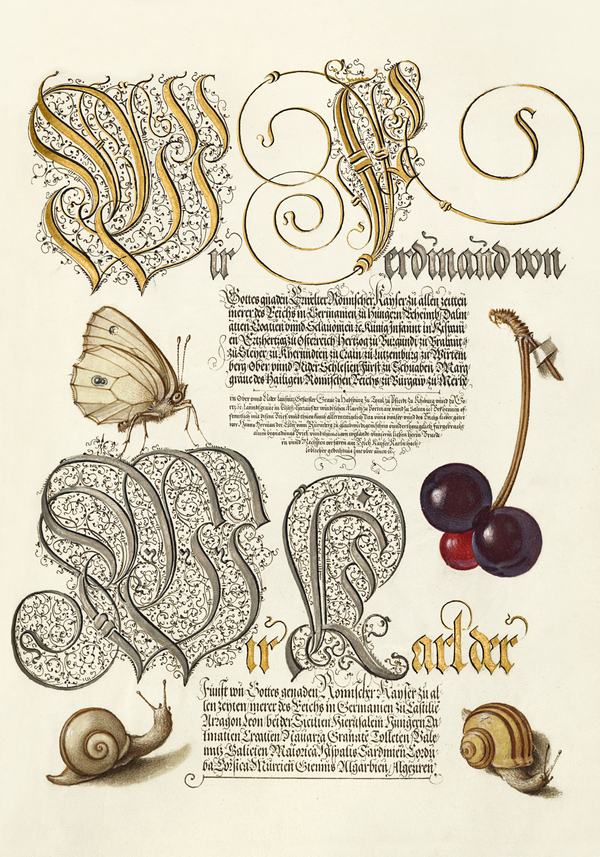 Régi kalligráfia botanikai illusztrációkkal - 64 Bocskay György, Joris Hoefnagel  16. századi kalligráfia és illlumináció reprint nyomata Botanika